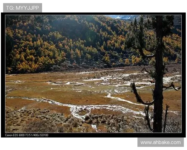 “四川卫视两天一夜”:不止是一场旅行,更是一次心之所向的深度探索 “四川卫视两天一夜”:不止是一场旅行,更是一次心之所向的深度探索