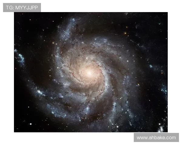 不要恐慌：银河系搭车客指南，一次穿越宇宙的奇妙冒险