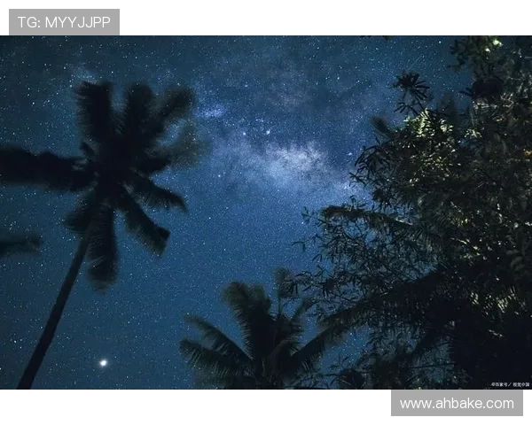 夜间飞行：当星辰低语，灵魂在静谧中绽放